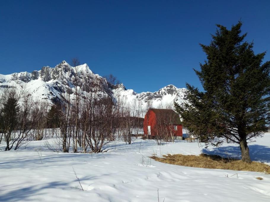 Cozy Apartment Between Sea And Mountains Mefjordvaer ภายนอก รูปภาพ