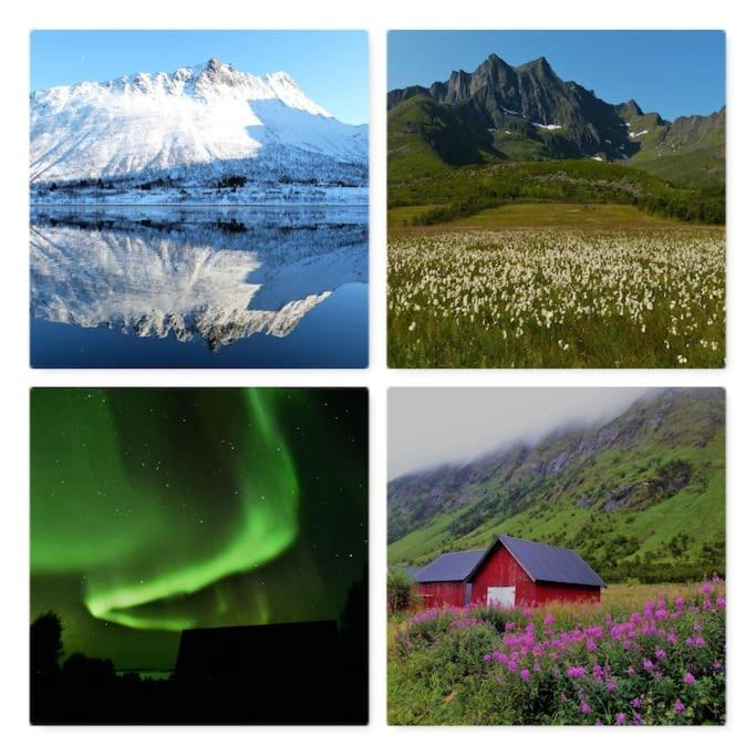 Cozy Apartment Between Sea And Mountains Mefjordvaer ภายนอก รูปภาพ