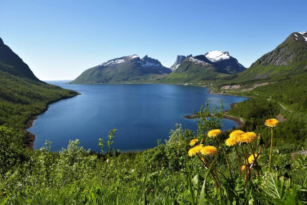 Cozy Apartment Between Sea And Mountains Mefjordvaer ภายนอก รูปภาพ